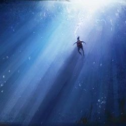 The cover of a book with a person swimming in the water.