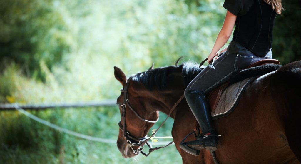 Portrait of young woman riding her horse